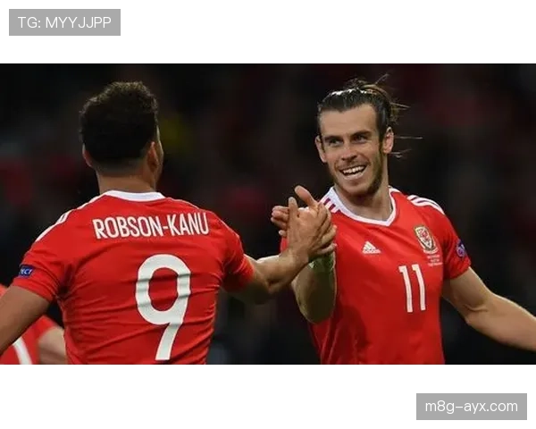 威尔士青年队展现实力，潜力新星备受瞩目