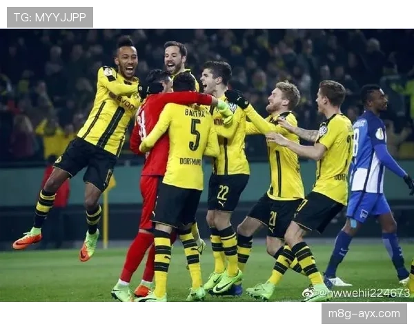 德甲球队阵容升级分析：多队引援补强竞争力增强