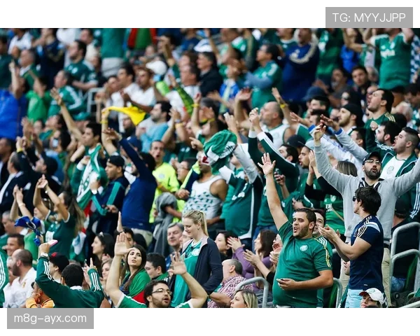 巴西足球甲级联赛官方发布最新赛程安排